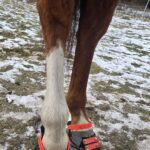 1 Paar Scootboots komplett bunt photo review