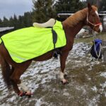 1 Paar Scootboots komplett bunt photo review