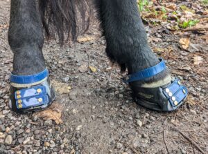 1 Paar Scootboots komplett bunt photo review