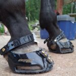 1 Paar Scootboots schwarz photo review