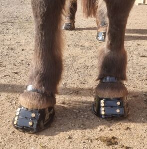 1 Paar Scootboots schwarz photo review