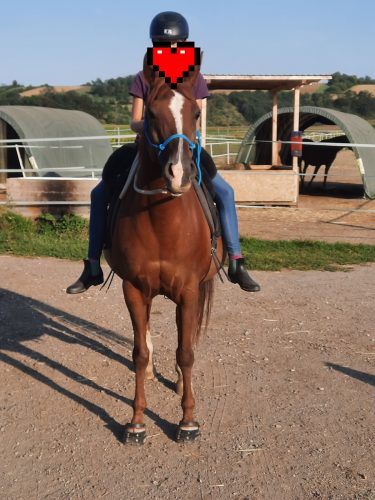 Kliknutím zobrazíte celou obrazovku 1 Paar Scootboot photo review