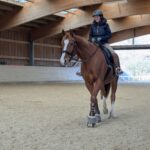 1 Paar Scootboots komplett bunt photo review