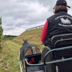 1 Paar Scootboots schwarz photo review