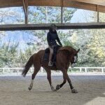 1 Paar Scootboots komplett bunt photo review