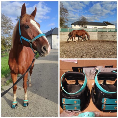 1 Paar Scootboots komplett bunt photo review
