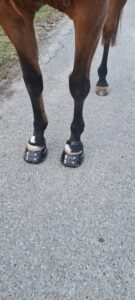 1 Paar Scootboots schwarz photo review