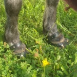 1 Paar Scootboots schwarz photo review