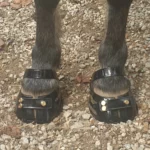 1 Paar Scootboots schwarz photo review