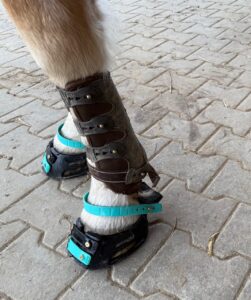 Fesselriemen bunt photo review