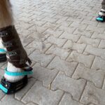 1 Paar Scootboots schwarz photo review