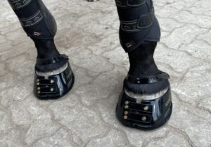 Testschuhe schwarz photo review