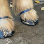 1 Paar Scootboots schwarz photo review