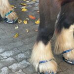 1 Paar Scootboots schwarz photo review