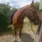 1 Paar Scootboots komplett bunt photo review