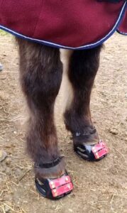 1 Paar Scootboots Zehenriemen bunt photo review