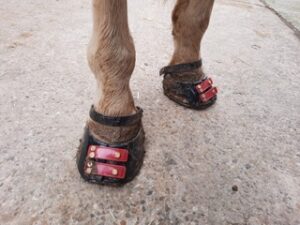 1 Paar Scootboots Zehenriemen bunt photo review